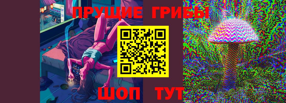 Галлюциногенные грибы Psilocybe Тосно