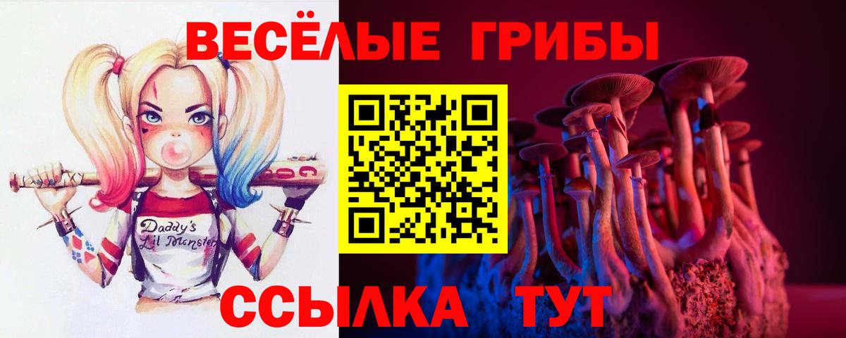 Галлюциногенные грибы GOLDEN TEACHER  Вход с VPN  цена   Тосно 